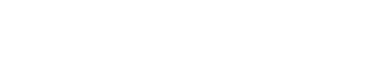 blockwise-advisors-logo-web-white-1